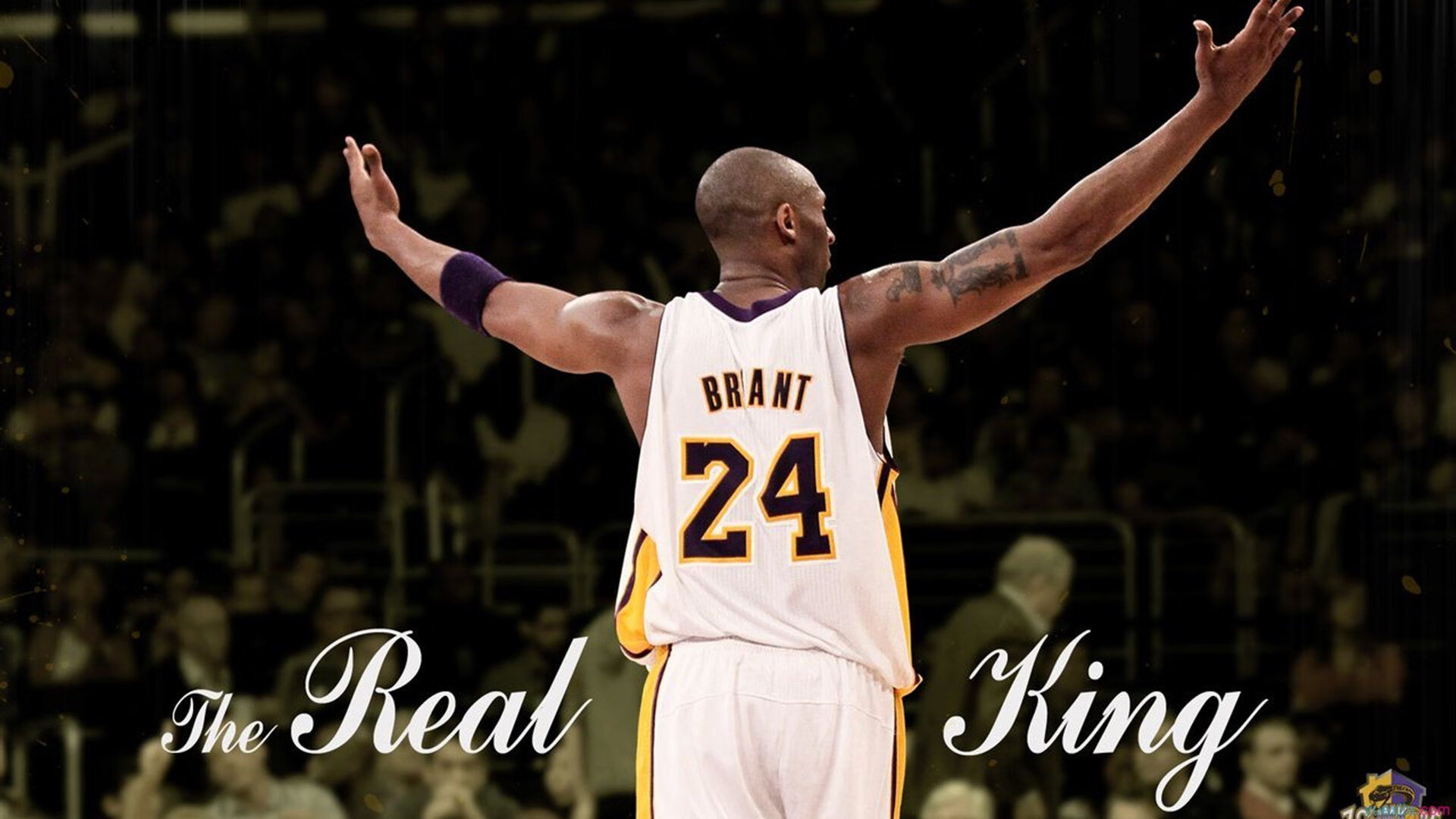 【动态裁判】未来裁判或由机器人“打理”？